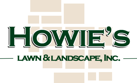 Howies Logo clear bg